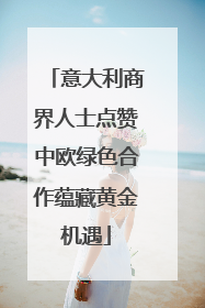 意大利商界人士点赞中欧绿色合作蕴藏黄金机遇