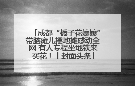 成都“栀子花孃孃”带脑瘫儿摆地摊感动全网 有人专程坐地铁来买花！丨封面头条