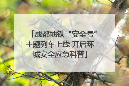 成都地铁“安全号”主题列车上线 开启环城安全应急科普