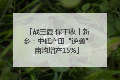战三夏 保丰收丨新乡：中低产田“逆袭” 亩均增产15%