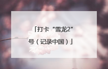 打卡“雪龙2”号（记录中国）