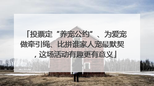 投票定“养宠公约”、为爱宠做牵引绳、比拼谁家人宠最默契，这场活动有趣更有意义