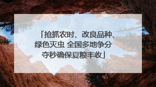 抢抓农时、改良品种、绿色灭虫 全国多地争分夺秒确保夏粮丰收