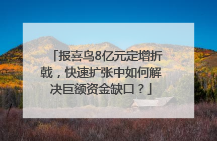 报喜鸟8亿元定增折戟，快速扩张中如何解决巨额资金缺口？