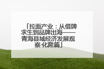 拉面产业：从借牌求生到品牌出海——青海县域经济发展观察·化隆篇