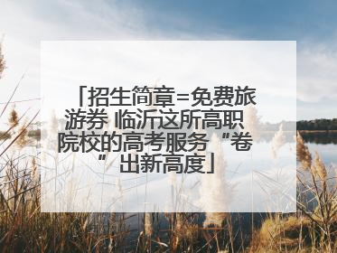 招生简章=免费旅游券 临沂这所高职院校的高考服务“卷”出新高度