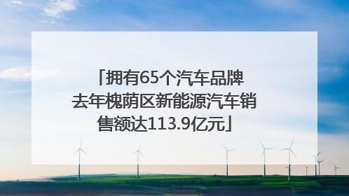拥有65个汽车品牌 去年槐荫区新能源汽车销售额达113.9亿元