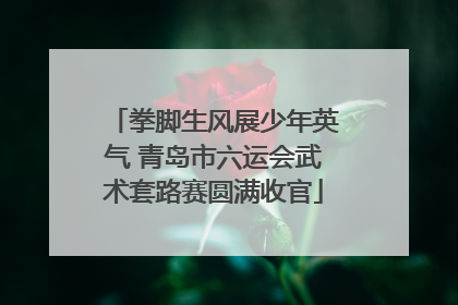 拳脚生风展少年英气 青岛市六运会武术套路赛圆满收官