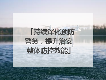 持续深化预防警务，提升治安整体防控效能