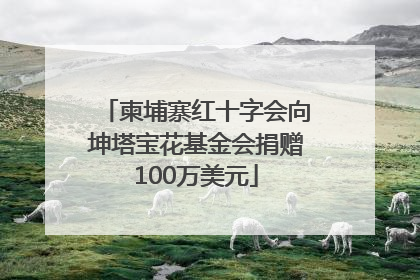 柬埔寨红十字会向坤塔宝花基金会捐赠100万美元