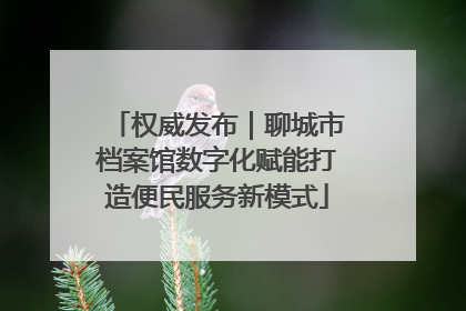 权威发布｜聊城市档案馆数字化赋能打造便民服务新模式