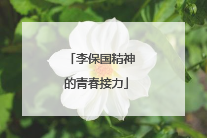 李保国精神的青春接力