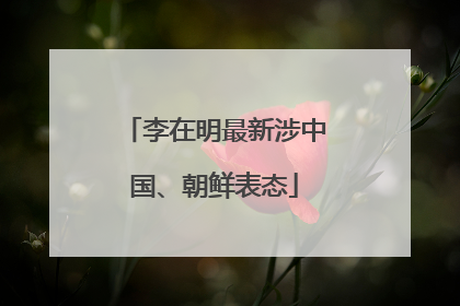 李在明最新涉中国、朝鲜表态