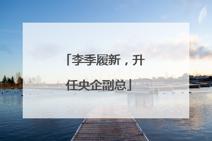 李季履新，升任央企副总