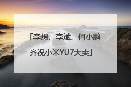 李想、李斌、何小鹏齐祝小米YU7大卖