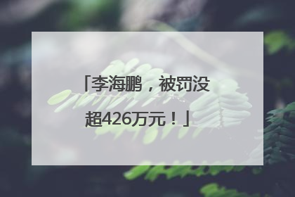 李海鹏，被罚没超426万元！