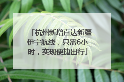 杭州新增直达新疆伊宁航线，只需6小时，实现便捷出行