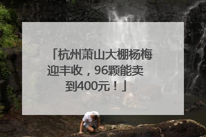 杭州萧山大棚杨梅迎丰收，96颗能卖到400元！