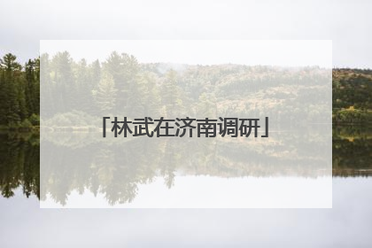 林武在济南调研