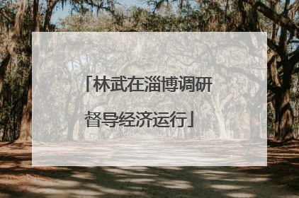 林武在淄博调研督导经济运行