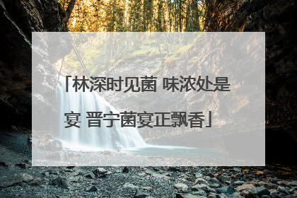 林深时见菌 味浓处是宴 晋宁菌宴正飘香