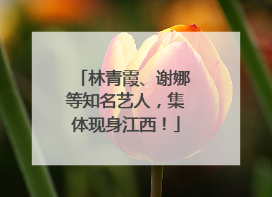 林青霞、谢娜等知名艺人，集体现身江西！