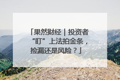 果然财经|投资者“盯”上法拍金条,捡漏还是风险?