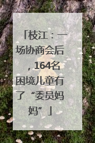 枝江：一场协商会后，164名困境儿童有了“委员妈妈”