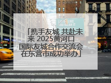 携手友城 共赴未来 2025黄河口国际友城合作交流会在东营市成功举办