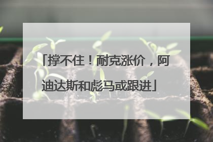 撑不住！耐克涨价，阿迪达斯和彪马或跟进