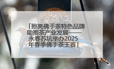 擦亮佛手茶特色品牌 助推茶产业发展——永春苏坑举办2025年春季佛手茶王赛
