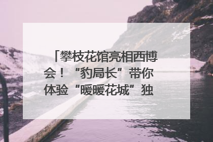 攀枝花馆亮相西博会！“豹局长”带你体验“暖暖花城”独特魅力｜西博视界