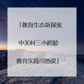 教育生态新探索 中关村三小跨龄教育实践引热议