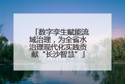 数字孪生赋能流域治理，为全省水治理现代化实践贡献“长沙智慧”