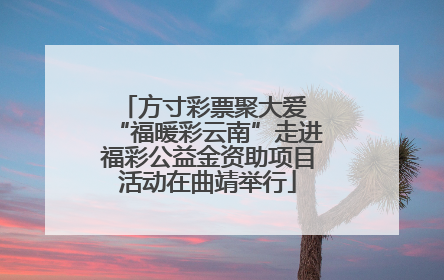 方寸彩票聚大爱 “福暖彩云南”走进福彩公益金资助项目活动在曲靖举行