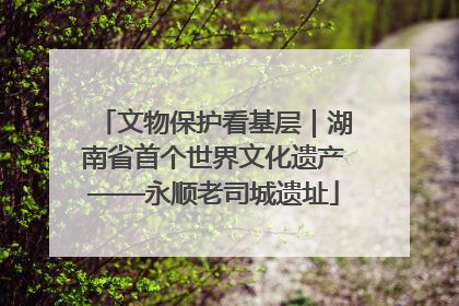 文物保护看基层｜湖南省首个世界文化遗产——永顺老司城遗址
