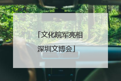 文化皖军亮相深圳文博会