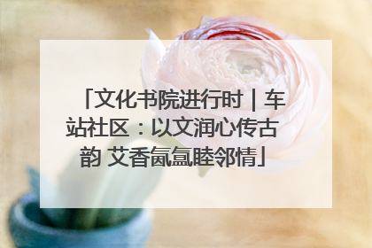 文化书院进行时｜车站社区：以文润心传古韵 艾香氤氲睦邻情