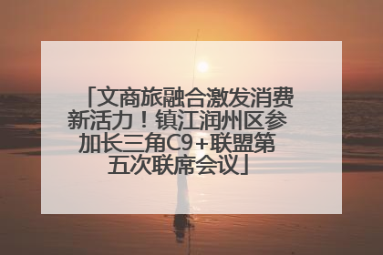 文商旅融合激发消费新活力！镇江润州区参加长三角C9+联盟第五次联席会议