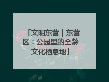 文明东营｜东营区：公园里的全龄文化栖息地
