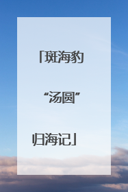 斑海豹“汤圆”归海记
