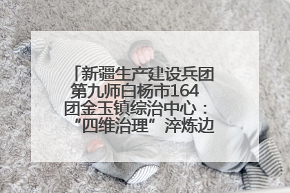 新疆生产建设兵团第九师白杨市164团金玉镇综治中心：“四维治理”淬炼边疆“枫桥样本”