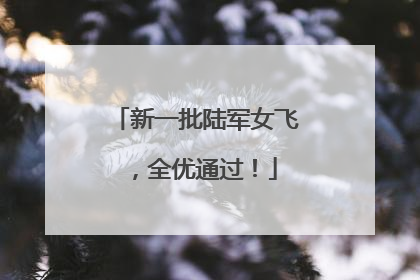 新一批陆军女飞，全优通过！