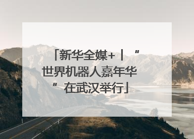 新华全媒+丨“世界机器人嘉年华”在武汉举行