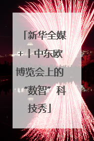 新华全媒+丨中东欧博览会上的“数智”科技秀