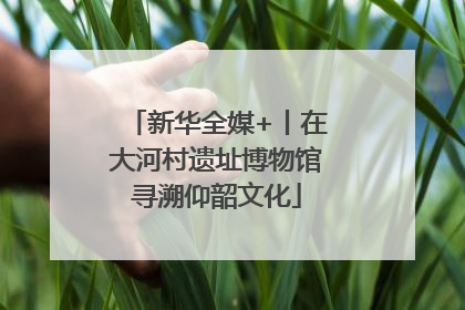 新华全媒+丨在大河村遗址博物馆寻溯仰韶文化