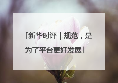 新华时评｜规范，是为了平台更好发展