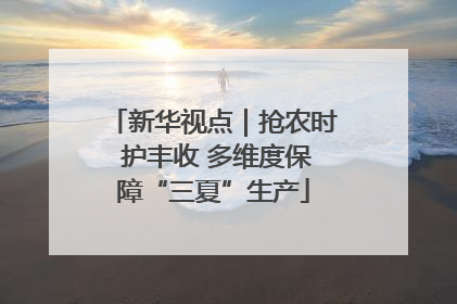 新华视点｜抢农时 护丰收 多维度保障“三夏”生产