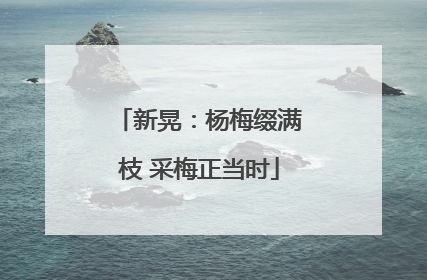 新晃：杨梅缀满枝 采梅正当时