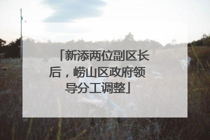 新添两位副区长后，崂山区政府领导分工调整